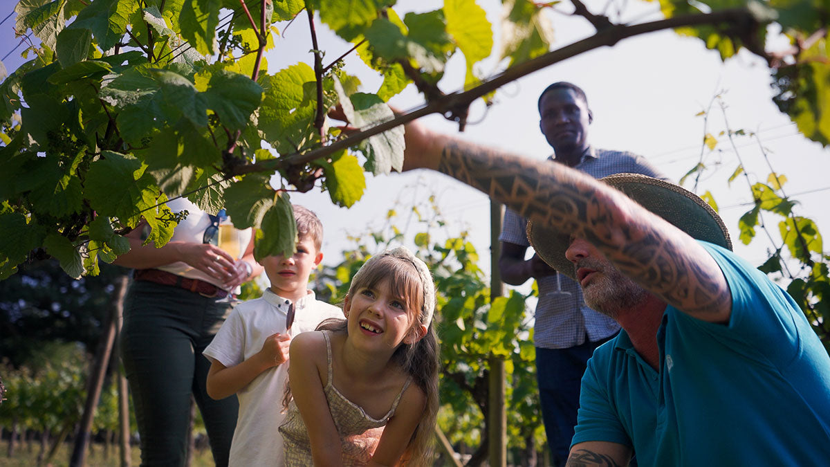 Premium Tasting Experience for Two at La Mare Wine Estate, Jersey - Physical Gift Card