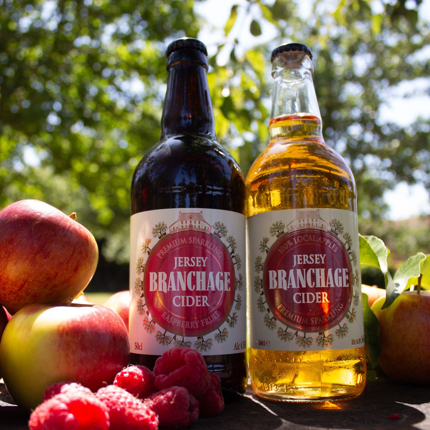 Jersey Branchage Raspberry Sparkling Premium Cider - NEW
