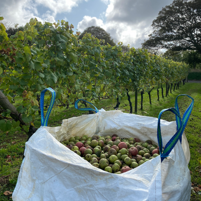 VSOP Jersey Apple Brandy 50cl - Pomignac