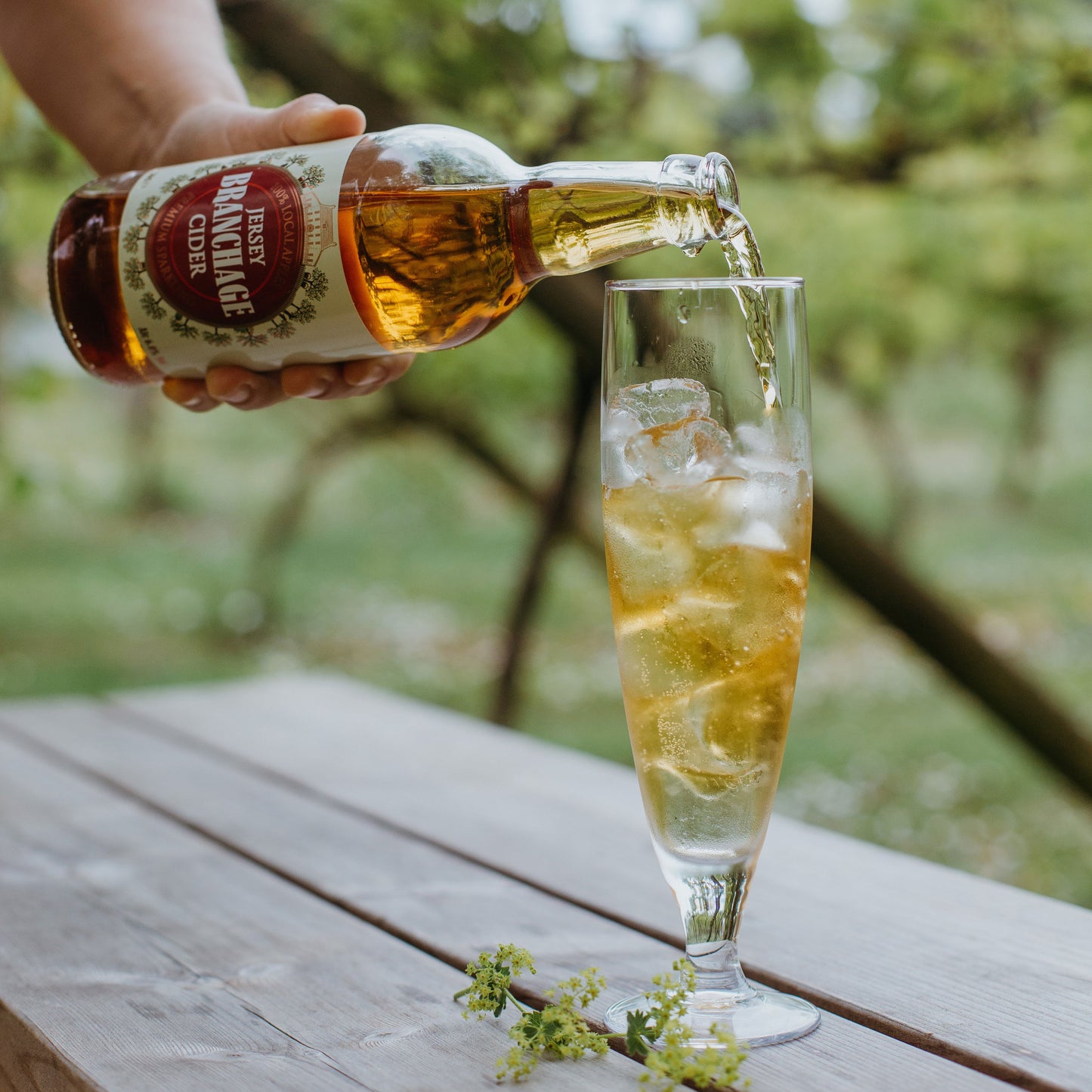 Jersey Branchage Cider