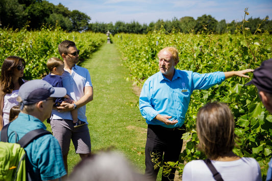 Physical Gift Card For Afternoon Tea and Tour & Tasting Experience for Two at La Mare Wine Estate, Jersey