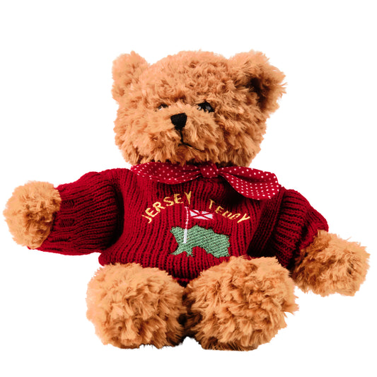 Soft Jersey Teddy (red)